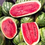 Watermelon Garden Seeds – Sugar Beauty Hybrid – 500 Seeds -Fruit Melon