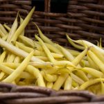 Goldrush Wax Bush Beans – 1 Lb – Non-GMO, Heirloom Seeds – Gold Rush
