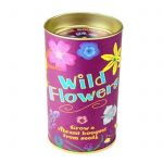 Wild Flower Seed Kit – Grow Wildflowers From Seeds – Wildflower Mix