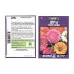 Zinnia Flower Garden Seeds – Thumbelina Mix – 1 g Packet – Annual